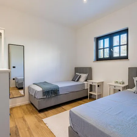 Vista - New Entry 2025 * Pola