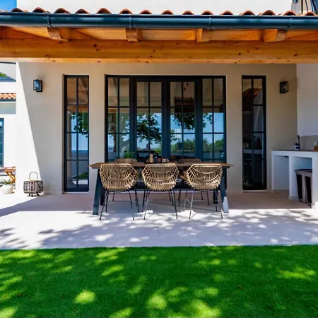 Vista - New Entry 2025 Pola