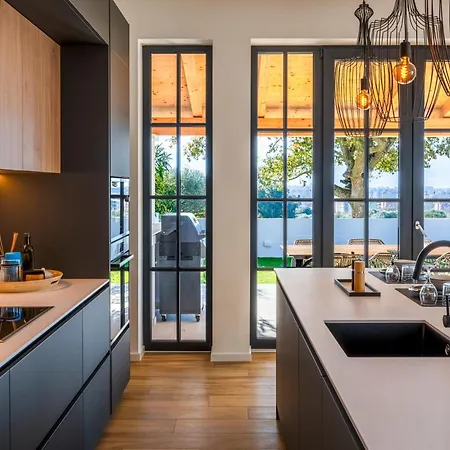 Vista - New Entry 2025