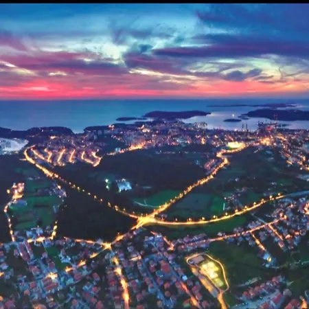 Vila Vista - New Entry 2025